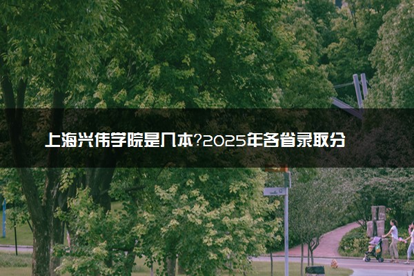 上海兴伟学院是几本？2025年各省录取分数线预测及报考建议
