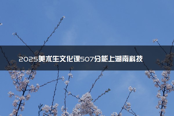 2025美术生文化课507分能上湖南科技学院吗