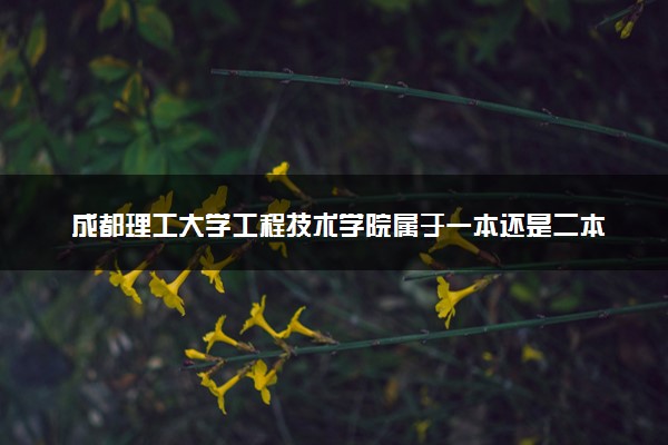 成都理工大学工程技术学院属于一本还是二本？本科一批、二批的区别及报考建议