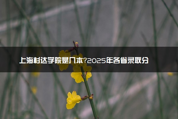 上海杉达学院是几本？2025年各省录取分数线预测及报考建议