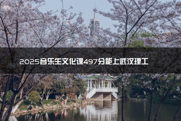 2025音乐生文化课497分能上武汉理工大学吗