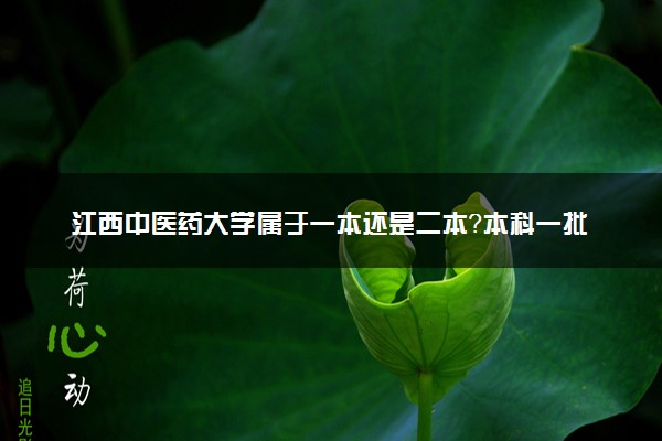 江西中医药大学属于一本还是二本？本科一批、二批的区别及报考建议