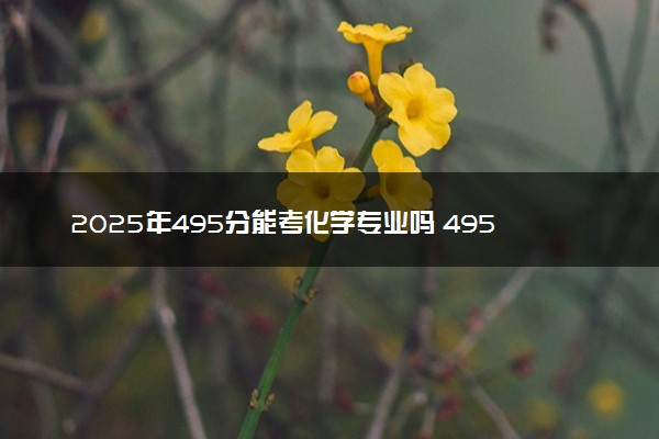 2025年495分能考化学专业吗 495分化学专业大学推荐