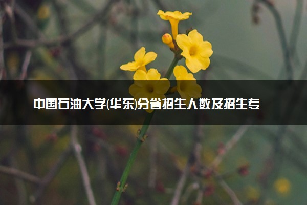 中国石油大学(华东)分省招生人数及招生专业2025年招生计划参考