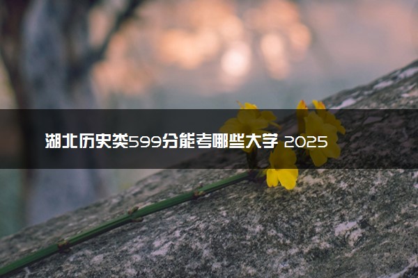 湖北历史类599分能考哪些大学 2025考生稳上的大学名单