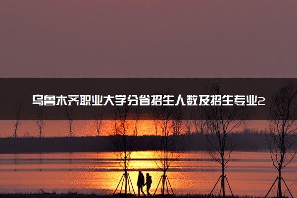 乌鲁木齐职业大学分省招生人数及招生专业2025年招生计划参考