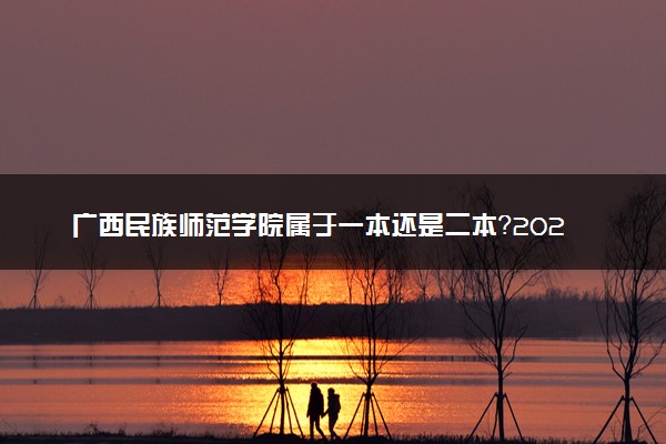 广西民族师范学院属于一本还是二本？2025年报考建议及分数线预测