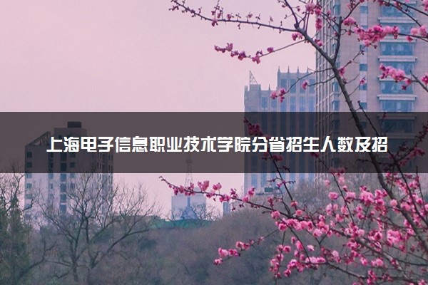 上海电子信息职业技术学院分省招生人数及招生专业2025年招生计划参考