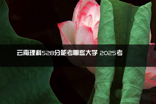 云南理科528分能考哪些大学 2025考生稳上的大学名单