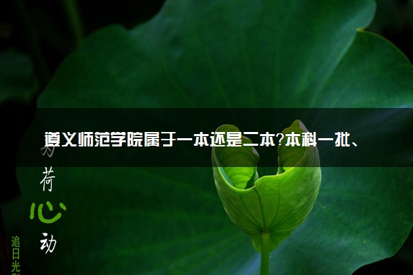 遵义师范学院属于一本还是二本？本科一批、二批的区别及报考建议