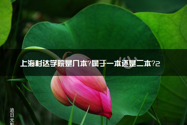 上海杉达学院是几本？属于一本还是二本？2025年分数线预测及报考建议