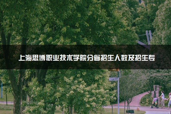 上海思博职业技术学院分省招生人数及招生专业2025年招生计划参考