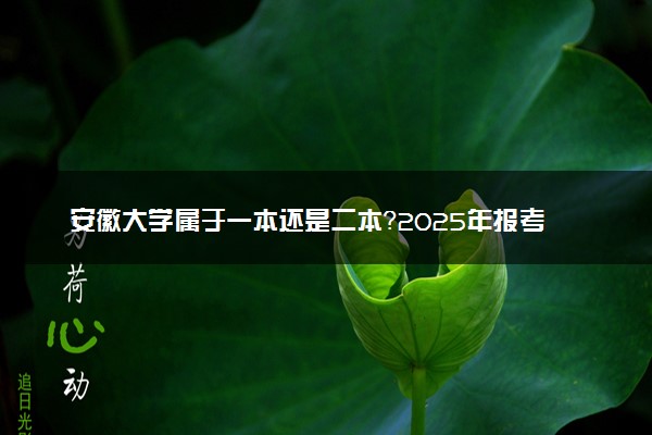 安徽大学属于一本还是二本？2025年报考建议及分数线预测