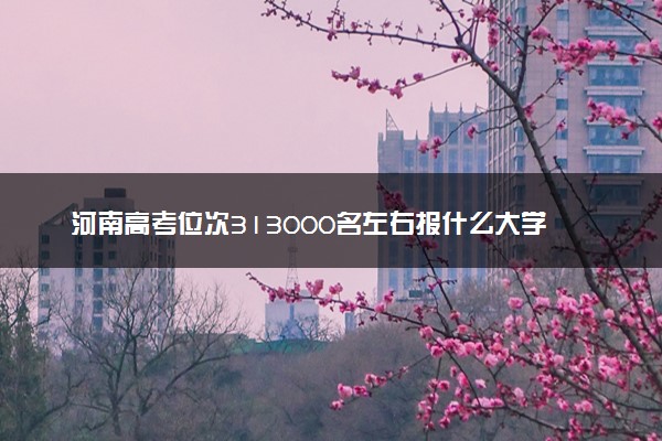 河南高考位次313000名左右报什么大学好（2025年参考）
