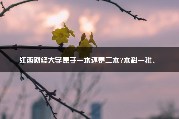 江西财经大学属于一本还是二本？本科一批、二批的区别及报考建议