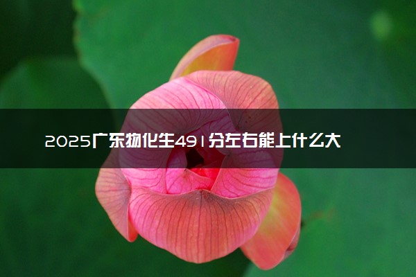 2025广东物化生491分左右能上什么大学 可以报考的院校名单