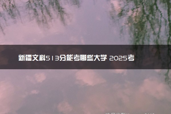 新疆文科513分能考哪些大学 2025考生稳上的大学名单