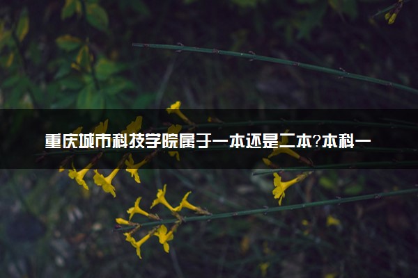 重庆城市科技学院属于一本还是二本？本科一批、二批的区别及报考建议