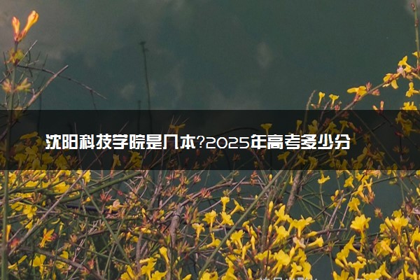 沈阳科技学院是几本？2025年高考多少分能上及报考建议