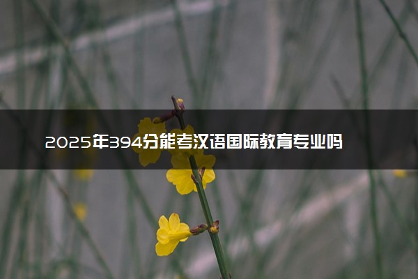 2025年394分能考汉语国际教育专业吗 394分汉语国际教育专业大学推荐