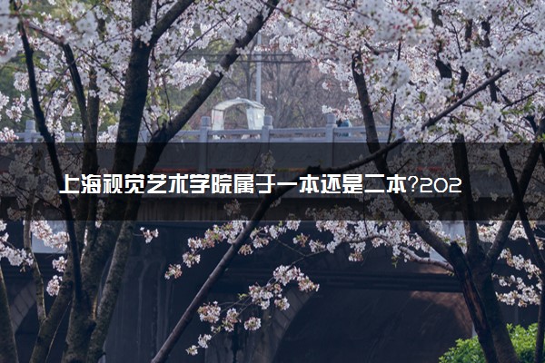 上海视觉艺术学院属于一本还是二本？2025年报考建议及分数线预测