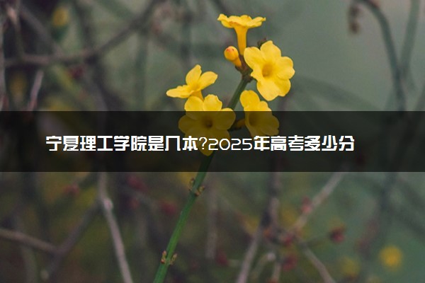 宁夏理工学院是几本？2025年高考多少分能上及报考建议