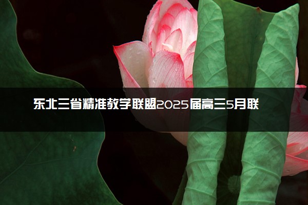 东北三省精准教学联盟2025届高三5月联考试题及答案汇总