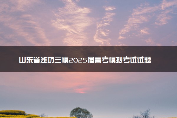 山东省潍坊三模2025届高考模拟考试试题及答案汇总
