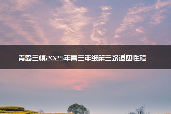 青岛三模2025年高三年级第三次适应性检测试题及答案汇总