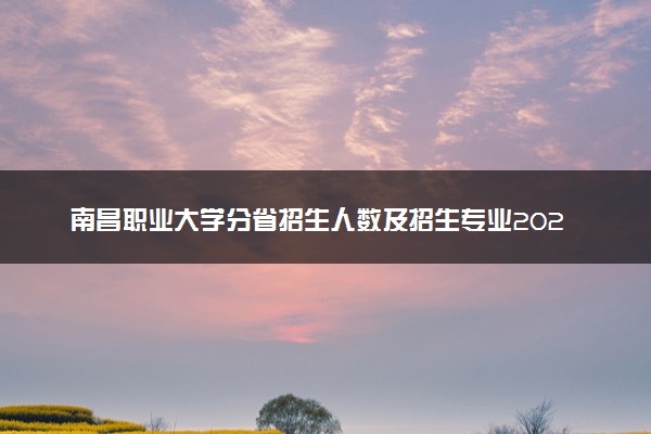 南昌职业大学分省招生人数及招生专业2025年招生计划参考