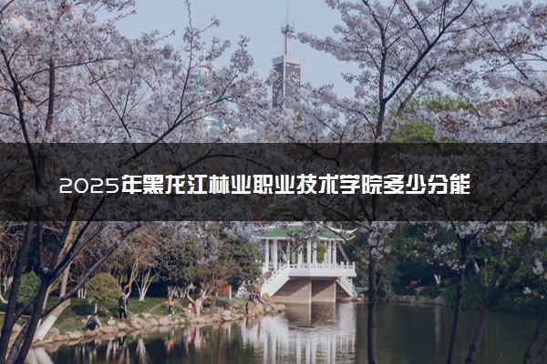 2025年黑龙江林业职业技术学院多少分能考上 最低分及位次