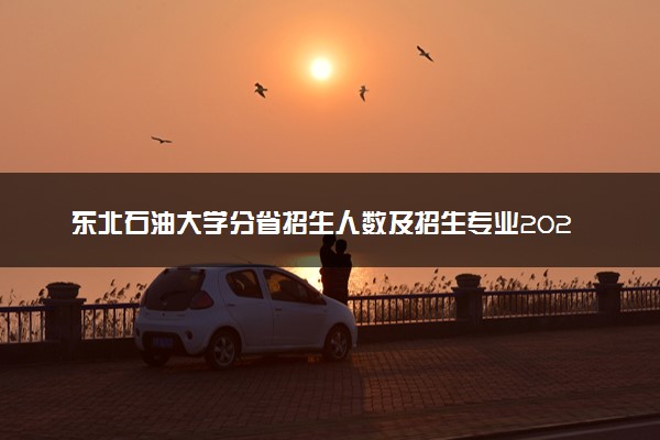 东北石油大学分省招生人数及招生专业2025年招生计划参考