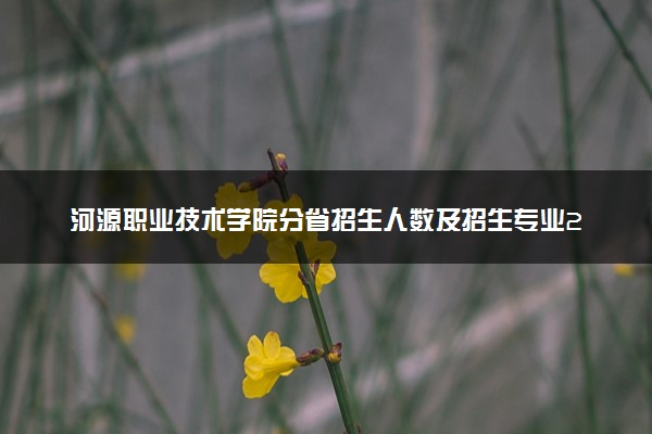 河源职业技术学院分省招生人数及招生专业2025年招生计划参考