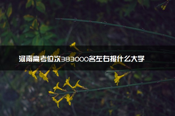 河南高考位次383000名左右报什么大学好（2025年参考）
