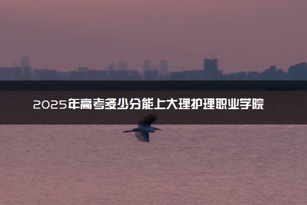 2025年高考多少分能上大理护理职业学院？预测各省份录取分数线（附2024年数据及报考指南）