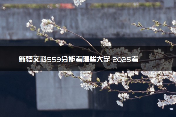 新疆文科559分能考哪些大学 2025考生稳上的大学名单