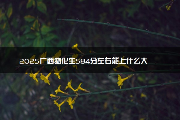 2025广西物化生584分左右能上什么大学 可以报考的院校名单