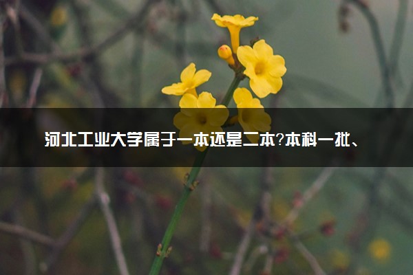 河北工业大学属于一本还是二本？本科一批、二批的区别及报考建议