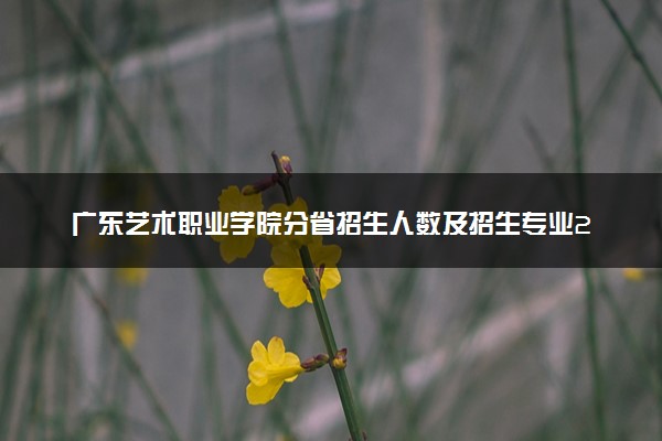 广东艺术职业学院分省招生人数及招生专业2025年招生计划参考