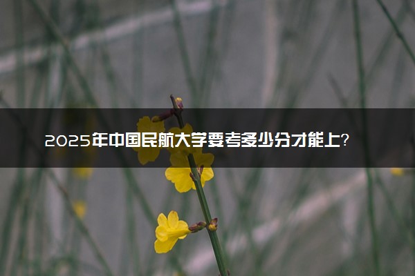 2025年中国民航大学要考多少分才能上？历年录取分数线及报考指南（含预测）