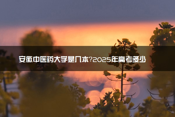安徽中医药大学是几本？2025年高考多少分能上及报考建议
