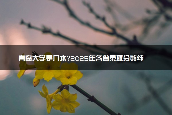 青岛大学是几本？2025年各省录取分数线预测及报考建议