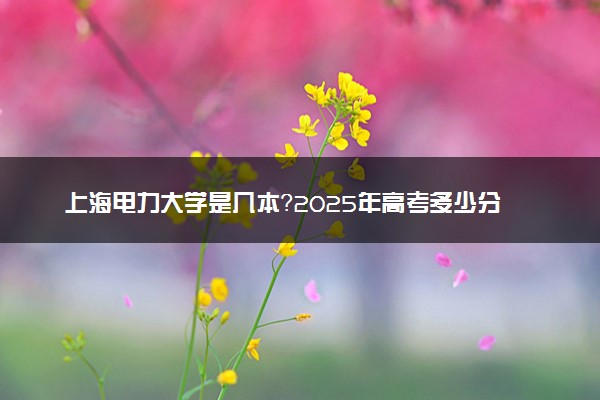 上海电力大学是几本？2025年高考多少分能上及报考建议