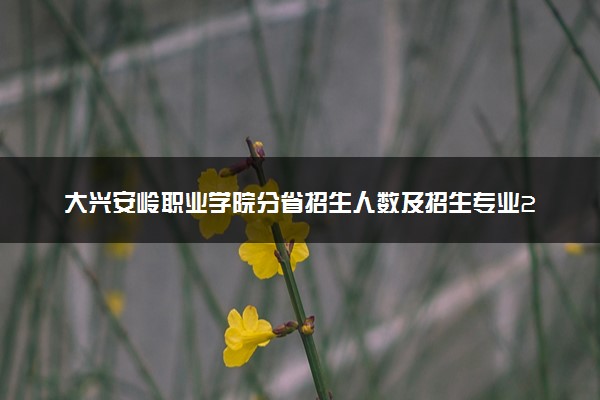 大兴安岭职业学院分省招生人数及招生专业2025年招生计划参考