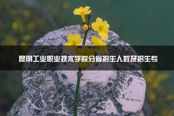 昆明工业职业技术学院分省招生人数及招生专业2025年招生计划参考