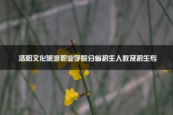 洛阳文化旅游职业学院分省招生人数及招生专业2025年招生计划参考