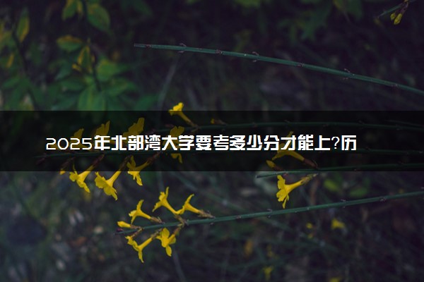 2025年北部湾大学要考多少分才能上？历年录取分数线及报考指南（含预测）
