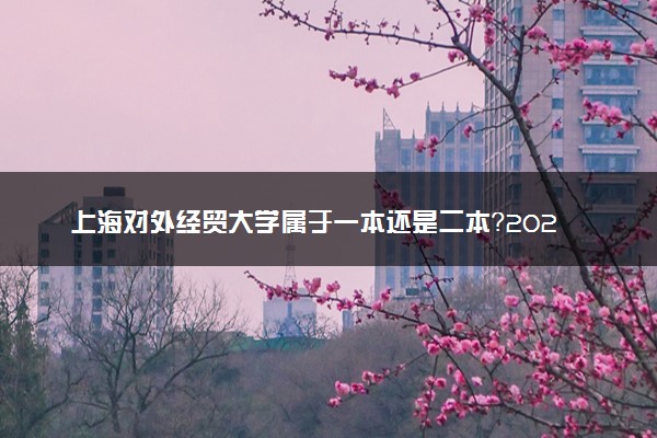 上海对外经贸大学属于一本还是二本？2025年报考建议及分数线预测