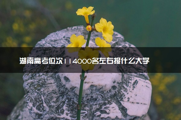 湖南高考位次114000名左右报什么大学好（2025年参考）