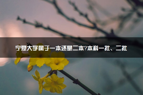 宁夏大学属于一本还是二本？本科一批、二批的区别及报考建议